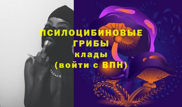 прущие крисы Медногорск