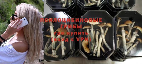 прущие крисы Медногорск