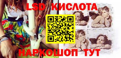 стаф Гай