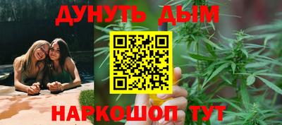 стаф Гай