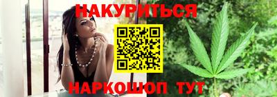 стаф Гай