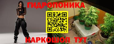 спиды Гагарин