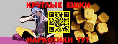 стаф Гай