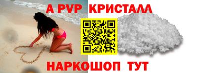 спиды Гагарин