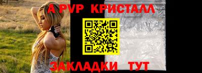 стаф Гай